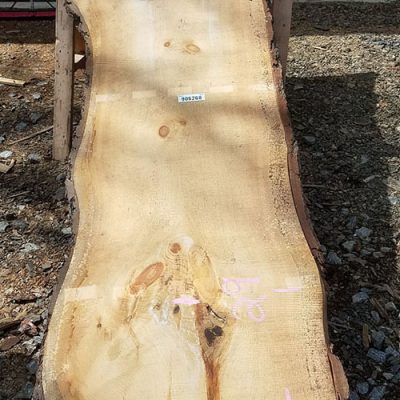 PINE SLAB 906268