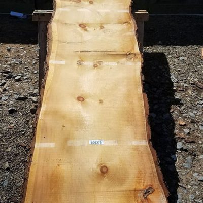 PINE SLAB 906275